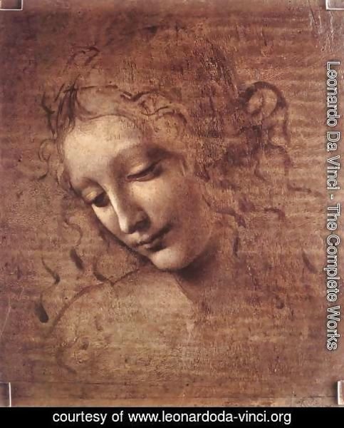 Leonardo Da Vinci - Female head (The Lady of the Dishevelled Hair) (or La Scapigliata)