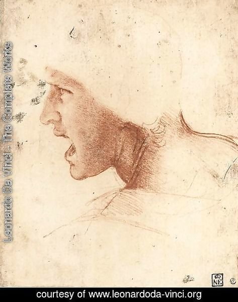 Leonardo Da Vinci - Head of a Warrior (or 'The Red Head')