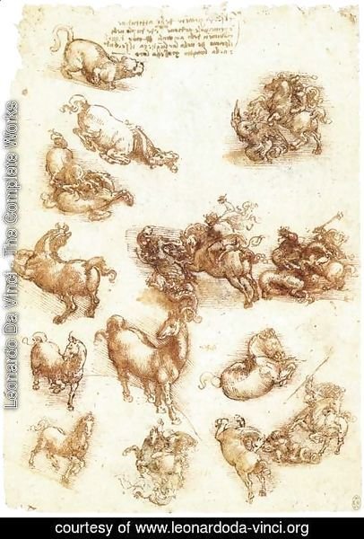 Leonardo Da Vinci - Study sheet with horses