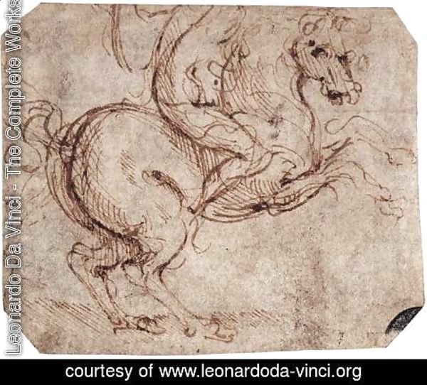 Leonardo Da Vinci - Study of a rider