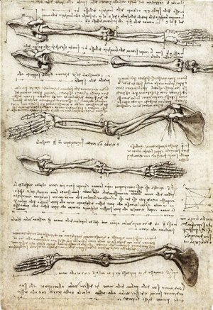 Leonardo Da Vinci - Arms