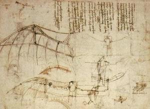 Leonardo Da Vinci - fly