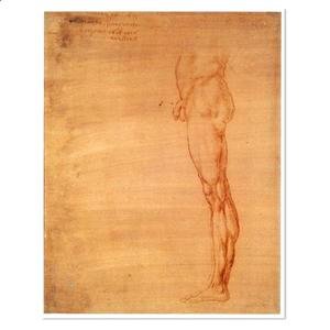 Leonardo Da Vinci - The Abdomen and Leg of a Man