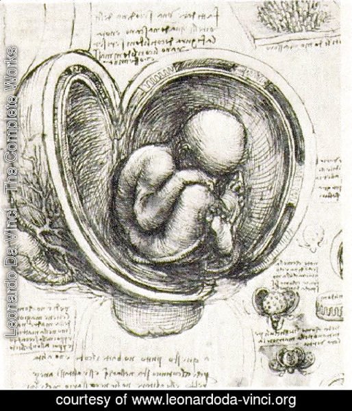 Womb Study