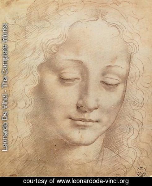 Leonardo Da Vinci - Female Head