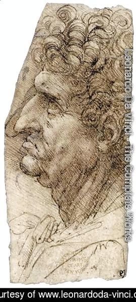 Leonardo Da Vinci - Head of a Man Facing to the Left