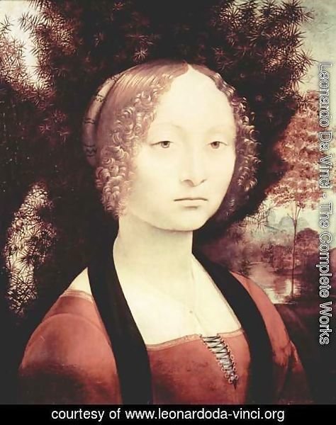 Leonardo Da Vinci - Portrait of a noblewoman
