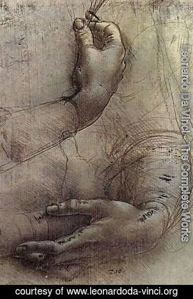 Leonardo Da Vinci - Study of Arms and Hands, a sketch by da Vinci popularly considered to be a preliminary study for the painting 'Lady with an Ermine'