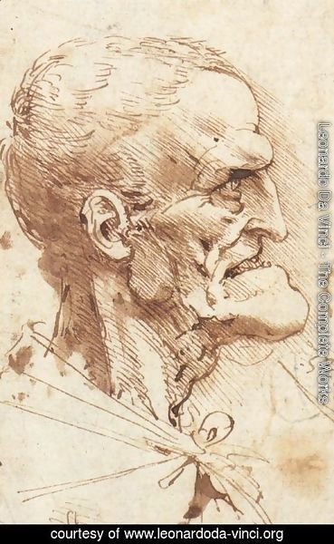 Leonardo Da Vinci - Grotesque Profile