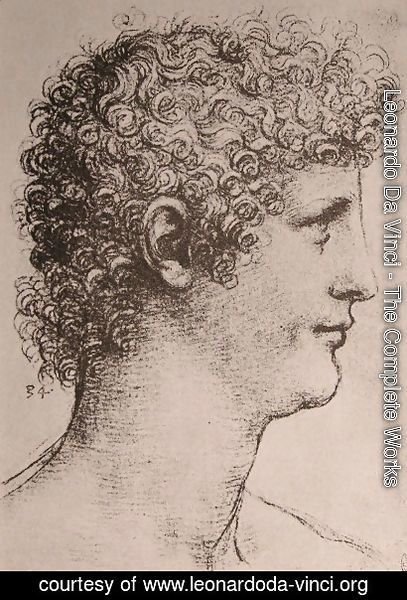 Leonardo Da Vinci - Drawing of Salai