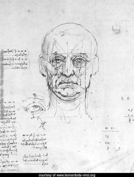 Study On The Proportions Of Head And Eyes