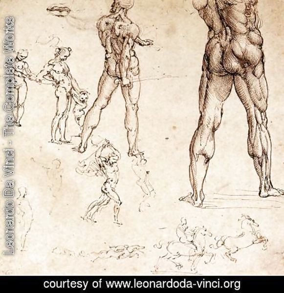 Leonardo Da Vinci - Anatomical Studies