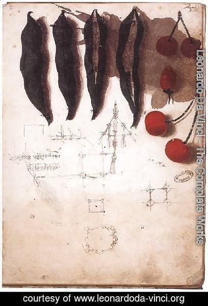 Leonardo Da Vinci - Fruit Vegetables And Other Studies