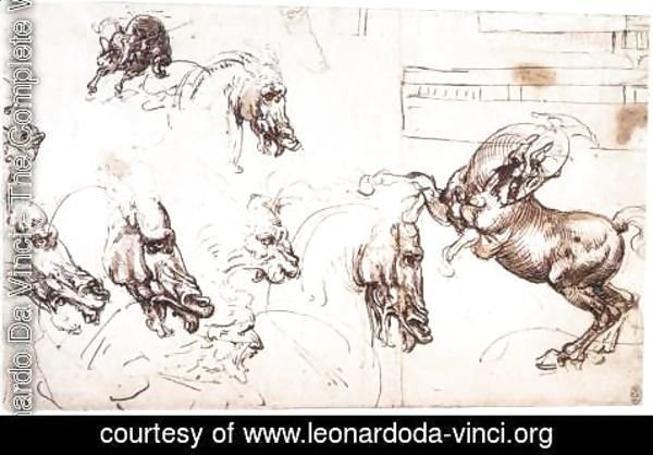 Leonardo Da Vinci - Study of horses for the Battle of Anghiari 1503-04