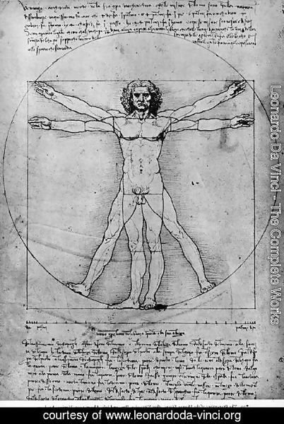 Leonardo Da Vinci - Vitruvian Man, Study of proportions, from Vitruvius's De Architectura