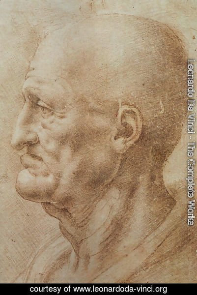 Leonardo Da Vinci - Study of an Old Man's Profile
