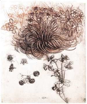 Leonardo Da Vinci - Star of Bethlehem and other plants