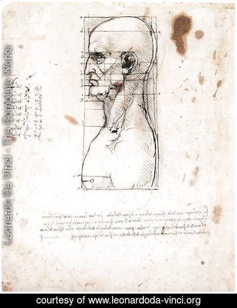 Leonardo Da Vinci - Male head in profile with proportions
