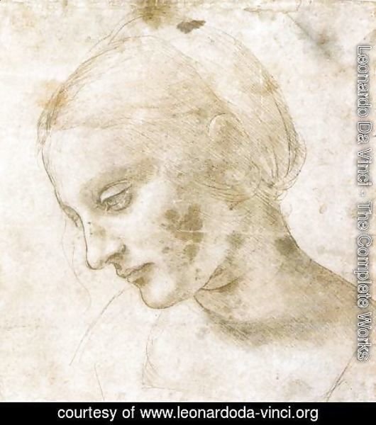 Leonardo Da Vinci - Study of a woman's head