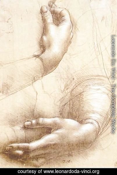 Leonardo Da Vinci - Study of hands