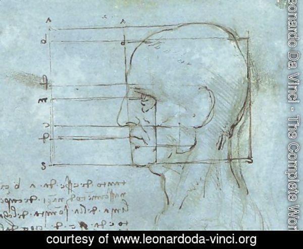 Leonardo Da Vinci - Blue Head