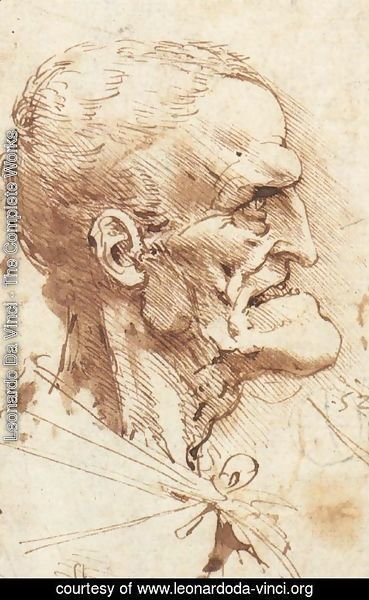 Leonardo Da Vinci - Cari Man