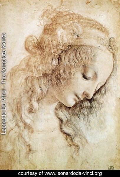Leonardo Da Vinci - Head of a Woman 2