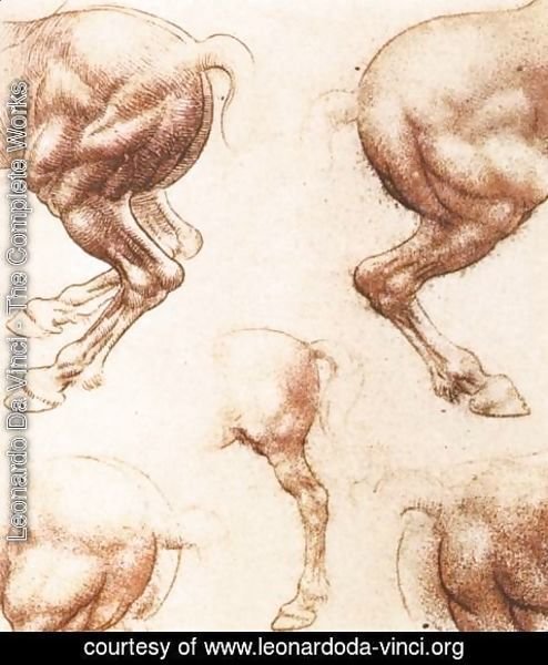 Leonardo Da Vinci - horse2