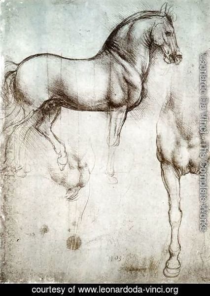 Leonardo Da Vinci - horse3