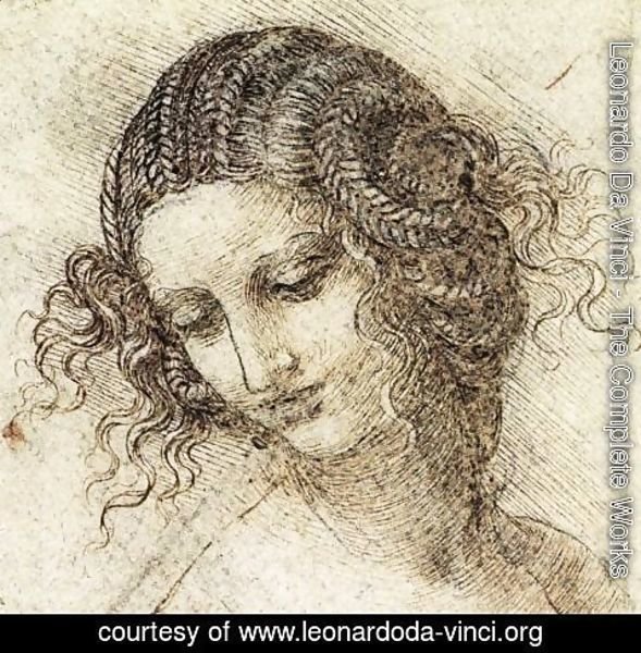Leonardo Da Vinci - Leda draw