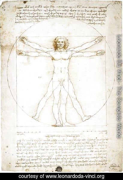 Leonardo Da Vinci - man proportions