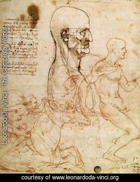 Sketches For The Battle Of Anghiari 1504 6 By Leonardo Da Vinci Oil Painting Leonardoda Vinci Org