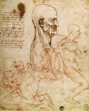 Leonardo Da Vinci - Sketches for The Battle of Anghiari 1504-6