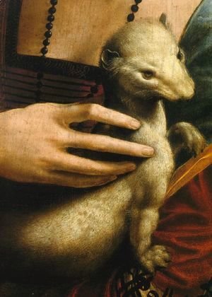 Leonardo Da Vinci - Lady with an Ermine (Detail)