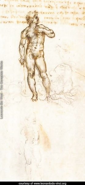 Study of David by Michelangelo (detail)