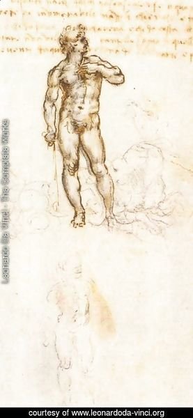 Leonardo Da Vinci - Study of David by Michelangelo (detail)