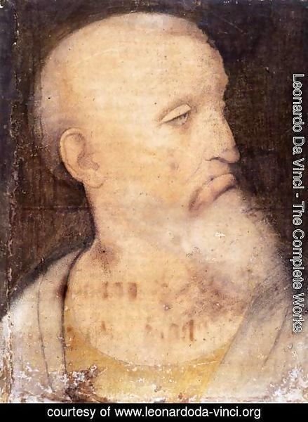 Leonardo Da Vinci - Head of St Andrew