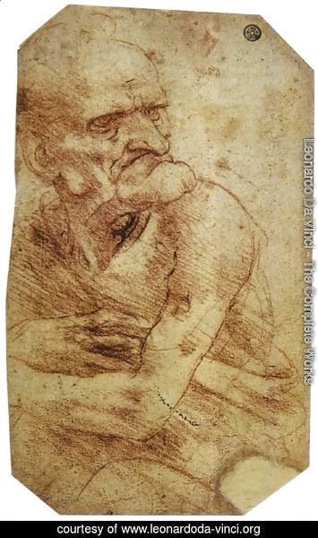 Study of an Old Man