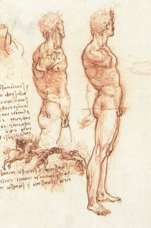 Leonardo Da Vinci - The anatomy of a male nude and a battle scene