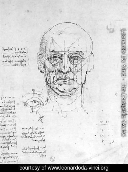 Leonardo Da Vinci - Study On The Proportions Of Head And Eyes