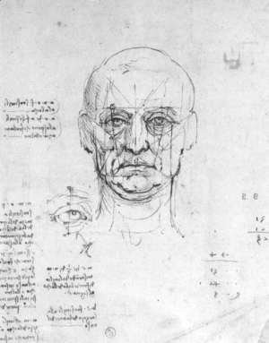 Study On The Proportions Of Head And Eyes