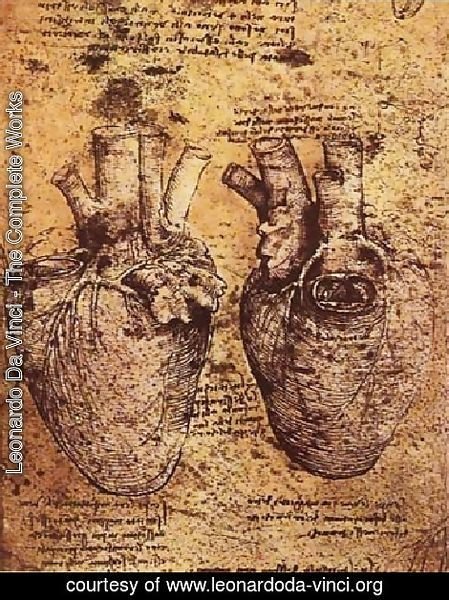Leonardo Da Vinci - Heart And Its Blood Vessels