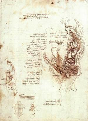 Leonardo Da Vinci - Studies Of The Sexual Act And Male Sexual Organ