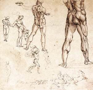 Leonardo Da Vinci - Anatomical Studies