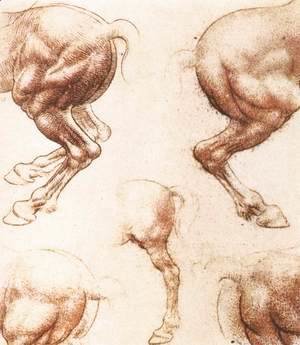 Leonardo Da Vinci - Study Of Horses 2