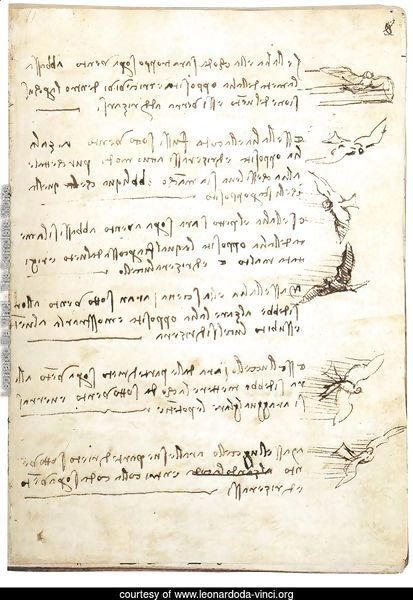 Codex On The Flight Of Birds