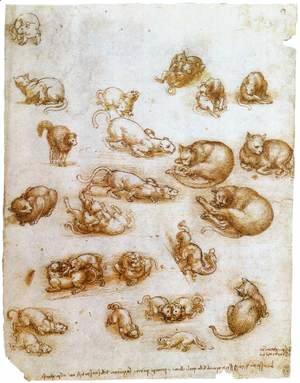 Leonardo Da Vinci - Study Sheet With Cats  Dragon And Other Animals