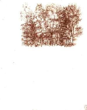 Birch copse c. 1500