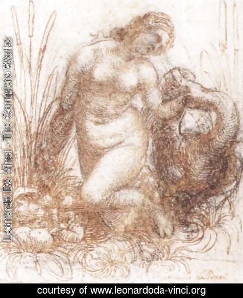 Leonardo Da Vinci - Study for a kneeling Leda  1503-07